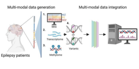 Graphical abstract of the new publication.